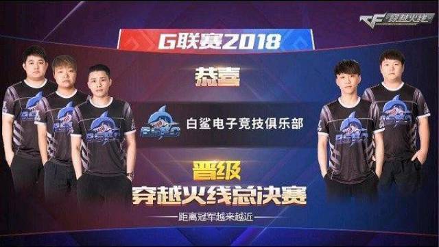 应用提供了 应用提供了